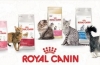 Asortiman in sestava mačje hrane royal canin