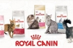 Asortiman in sestava mačje hrane royal canin